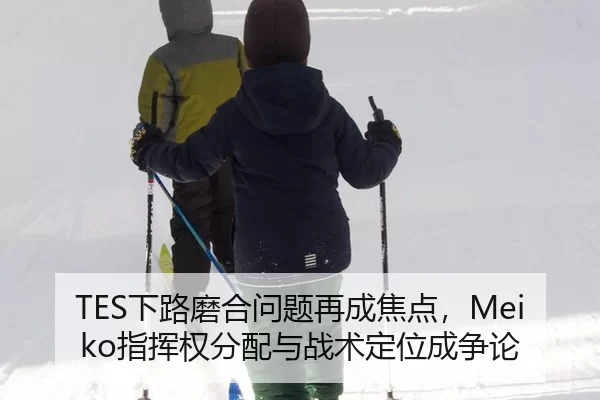 TES下路磨合问题再成焦点，Meiko指挥权分配与战术定位成争论